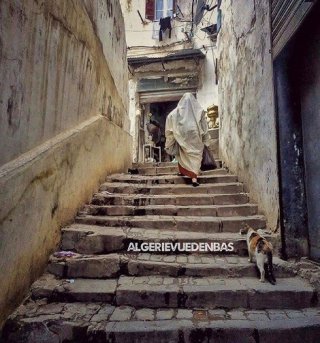 L'Algérie vue d'en bas